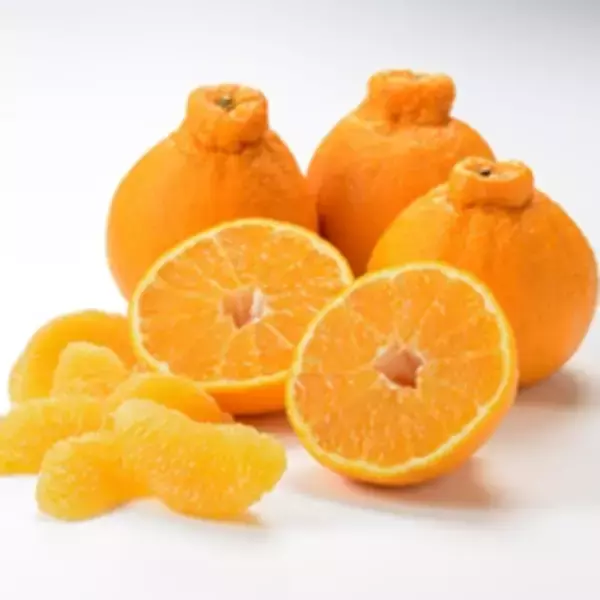 「JA全農とJR西日本の地域振興プロジェクト JR大阪駅で「みのりみのるマルシェ　熊本の実り」を1月31日に開催」の画像