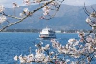 びわ湖の最北端、日本さくら名所100選「海津大崎の桜」を愛でるお花見船を期間限定で運航！「海津大崎桜クルーズ2026」