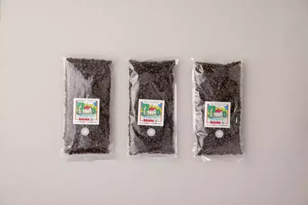 「SNS投稿から千葉県の“地域のブランド”を共創するプロジェクト　「#チバケーション Instagramキャンペーン」4月16日始動」の画像