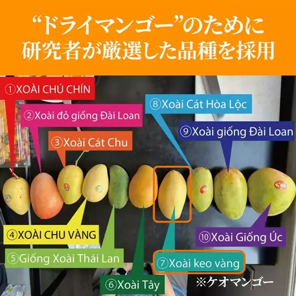 「コストコオンライン「博士のドライフルーツ」販売開始のお知らせ」の画像