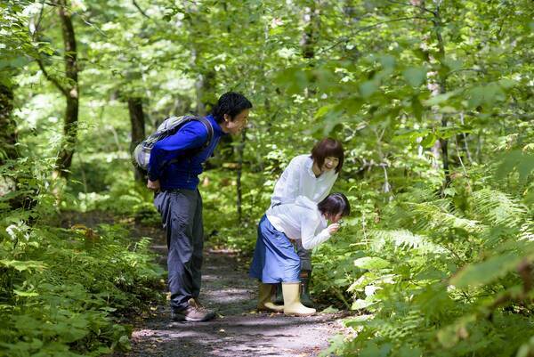 奥入瀬渓流ホテル 苔を通して親子で自然と触れ合う 夏恒例のアクティビティ 苔キッズ 開催 開催期間 年8月1日 31日 年6月17日 エキサイトニュース