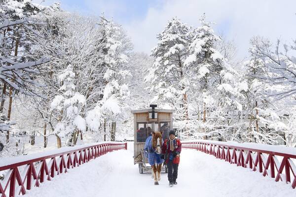 青森屋　薪ストーブであたたまりながら雪化粧した公園を巡る「ストーブ馬車」運行　期間：2020年12月1日～2021年3月31日