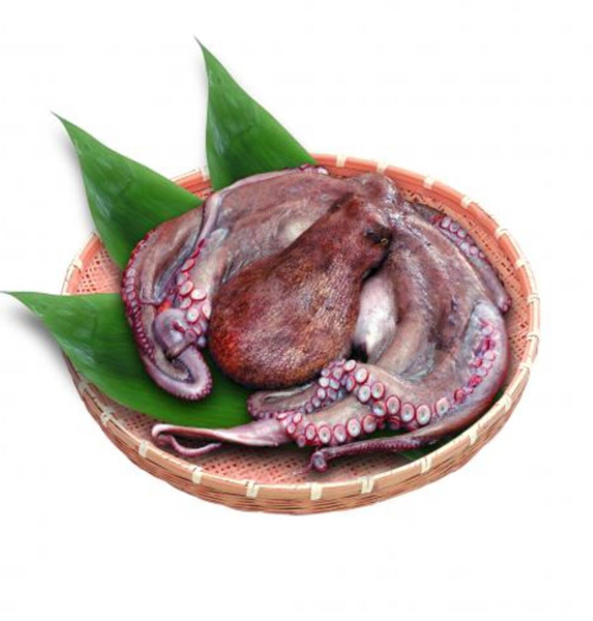 千葉で新鮮魚介を食べるならコレ 今食べて欲しい千葉県の海の幸 イベント情報を公開 年12月17日 エキサイトニュース 3 8