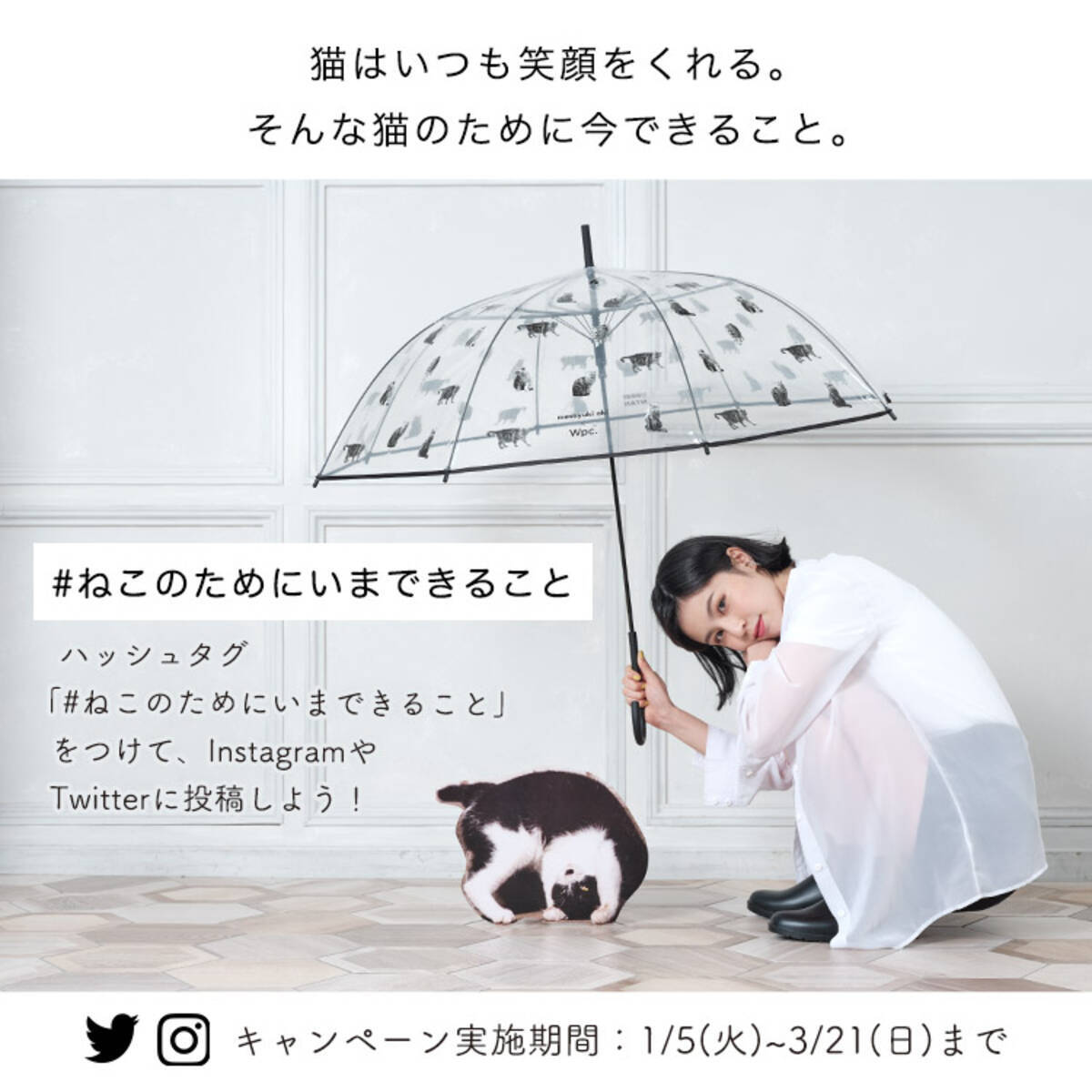 人気の猫写真家 沖昌之さんとwpc のコラボアイテム発売にあわせて ねこのためにいまできること ハッシュタグキャンペーン開催中 21年1月5日 エキサイトニュース