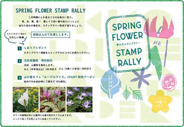 六甲高山植物園 春の花々を満喫 春の花スタンプラリー 開催 21年3月3日 エキサイトニュース