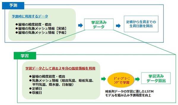 Aiを活用したレタスの生育予測の実証で出荷予測精度を大幅に向上 有限会社トップリバー 長野県 の御代田農場および富士見農場において本格運用開始 2021年9月10日 エキサイトニュース