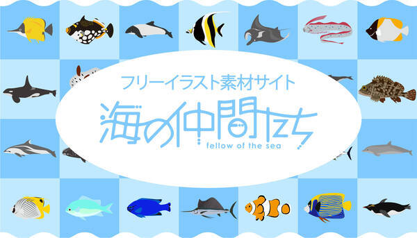海の生き物専門のフリーイラストサービス コンテンツが拡大 総ダウンロード数5 000突破 全150種以上 21年10月13日 エキサイトニュース