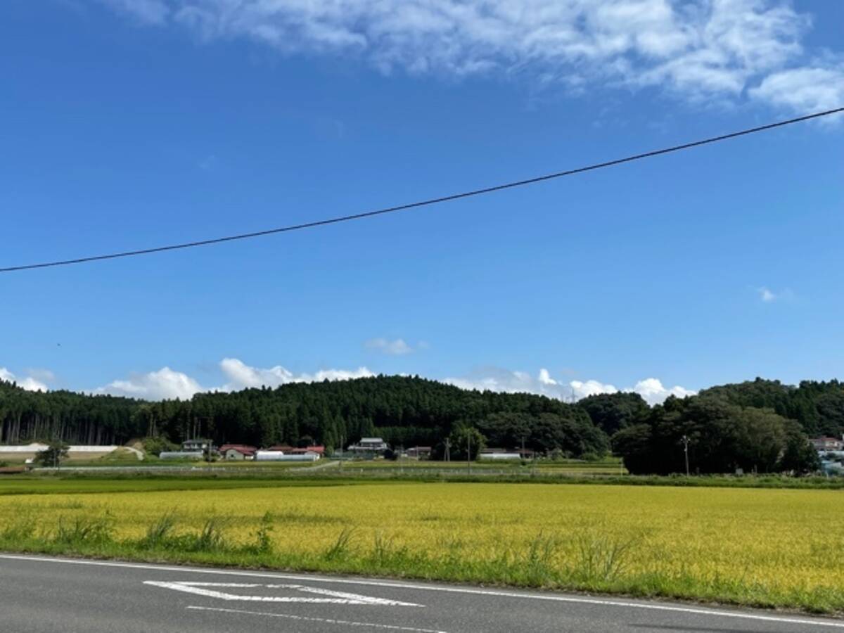 宮城県唯一の村の 田園カフェが本格始動 何もない が新しいカフェ 2021年11月2日 エキサイトニュース