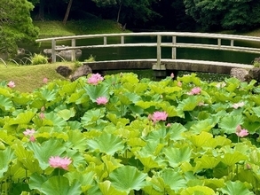 【7/18（土）～19（日）開催】小石川後楽園～夏景の庭園を楽しむ～