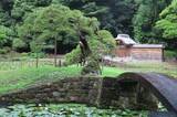 「【7/18（土）～19（日）開催】小石川後楽園～夏景の庭園を楽しむ～」の画像4
