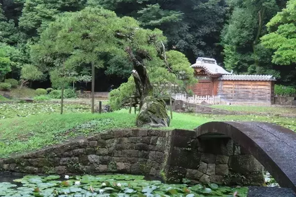 「【7/18（土）～19（日）開催】小石川後楽園～夏景の庭園を楽しむ～」の画像