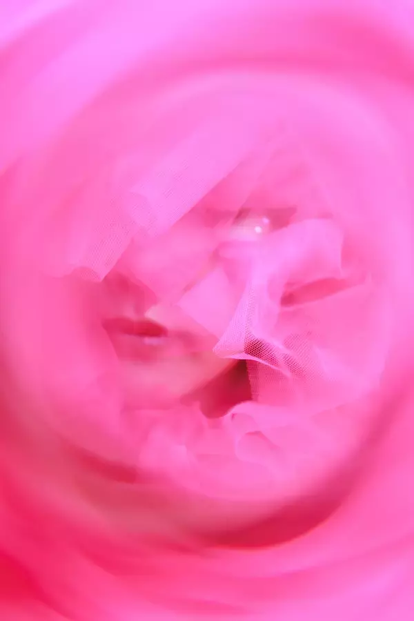 写真家＜清田大介＞ × 女優＜彩月貴央＞による写真展『LUMINA(ルミナ)』恵比寿アメリカ橋ギャラリーにて2026年08月19日～2026年08月24日開催