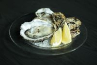 2025年12月9日（火）マルゴグループの新店舗『MARUGO S／マルゴエス』がオープン