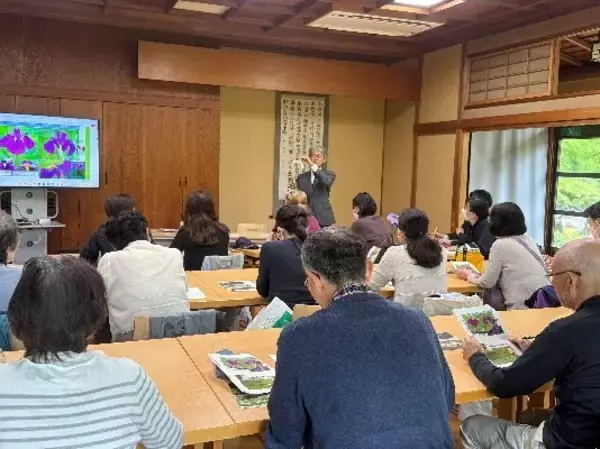 「ハナショウブの見ごろに合わせて小石川後楽園で「花菖蒲を楽しむ」～初夏の大名庭園を彩る優雅な紫～を開催（5/23~6/14）」の画像