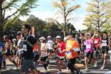 「和歌山の絶景とジャズの生演奏を楽しむ『第24回和歌山ジャズマラソン』を、12月20日(日)に開催します！」の画像3