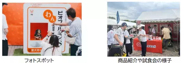 「「わんビオフェルミンS」をジャパンわんこフェスタ2025秋inお台場に出展」の画像