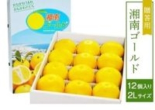 希少な“幻のオレンジ”を、産地から全国へお届け産地直送通販サイト「ＪＡタウン」で「湘南ゴールド」を販売開始