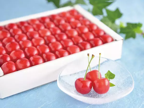 「【2026年】山形県産「温室さくらんぼ」出荷開始」の画像