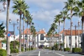 館山市でワーケーション受入体制を強化