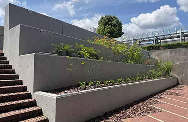 「安藤ハザマ技術研究所がSEGES(社会・環境貢献緑地評価システム)の「そだてる緑」部門で「Excellent Stage2」認定を取得」の画像