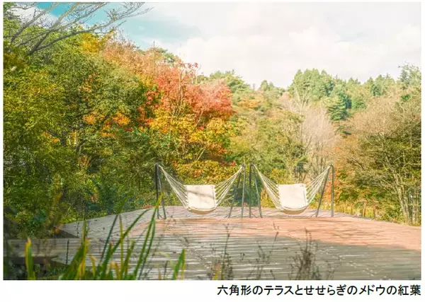 ROKKO森の音ミュージアムSIKIガーデンAutumn Season紅葉の見頃は10月下旬～11月下旬2026年8月29日（土）～11月30日（月）