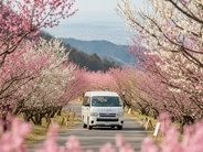 梅林会場へ「無料送迎」付きで、混雑知らずの観梅を。ホテル一望が『筑波山梅まつり満喫プラン』の予約を開始