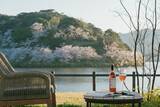 「桜がまだ愉しめる、京都最大の湖の眺め。八重桜がこれから開花「風景とナチュラルワインをペアリングする大人のお花見」　京都・丹後「HOTEL&湖邸 艸花 -そうか-」」の画像1