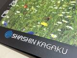 「「紙に刺繍する」新しい印刷加工サービスを開始」の画像3