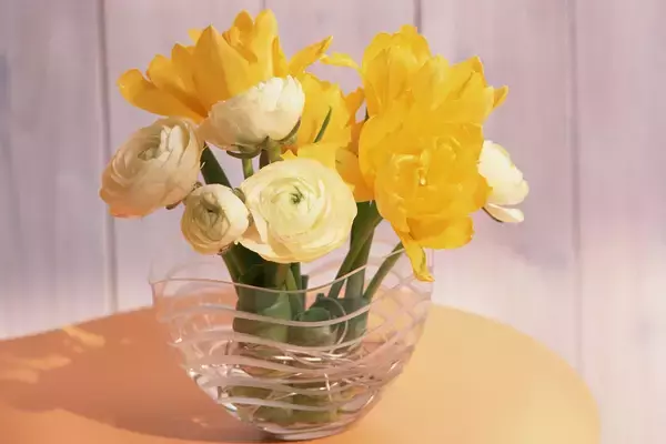 「【フラワーバレンタイン】JA全農長野×あずさ珈琲×プチコノカ三番街店 限定コラボ企画」の画像