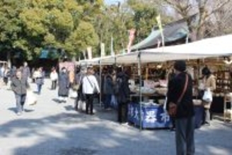 好評につき今年も2月21日より2週間開催！静岡県 三嶋大社 全国大陶器市