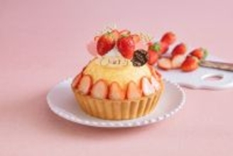 【ひなまつりのお祝いに】ラ・メゾンのひなまつりタルト販売中