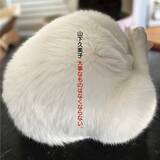 「山下久美子４５周年ベスト・アルバム『大事なものはなくならない。』４月１５日発売ミリオン作家・康珍化と数十年ぶりタッグ、新作『もっとやさしく』を書き下ろし収録！」の画像1