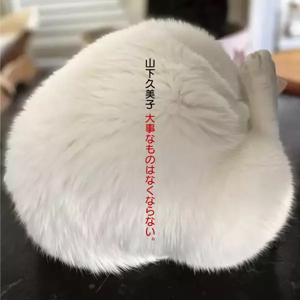 山下久美子４５周年ベスト・アルバム『大事なものはなくならない。』４月１５日発売ミリオン作家・康珍化と数十年ぶりタッグ、新作『もっとやさしく』を書き下ろし収録！