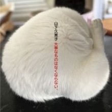 山下久美子４５周年ベスト・アルバム『大事なものはなくならない。』４月１５日発売ミリオン作家・康珍化と数十年ぶりタッグ、新作『もっとやさしく』を書き下ろし収録！