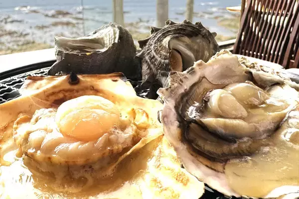 「近場で楽しむ“大人の海辺リゾート” 初夏限定・海鮮網焼き食べ放題付き宿泊プランが宿泊開始（7月10日まで）」の画像