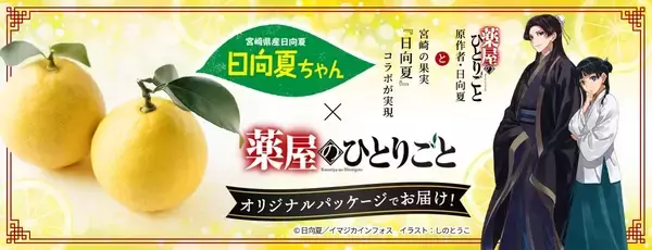 大人気小説「薬屋のひとりごと」コラボパッケージの柑橘「日向夏」を ＪＡタウンで販売中！