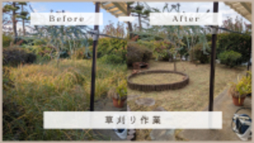 年末年始の大掃除は大和市の造園技術を活かした便利屋へ - 庭仕事から不用品処分まで一括対応