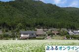 「京都府南丹市のまちづくりを企業の力で支援！企業版ふるさと納税「企ふるオンライン」で寄附受付を開始」の画像1
