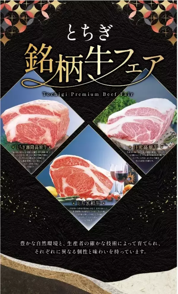 「鬼怒川温泉「あさやホテル」で2/28(土)まで『とちぎ銘柄牛フェア』開催中！」の画像