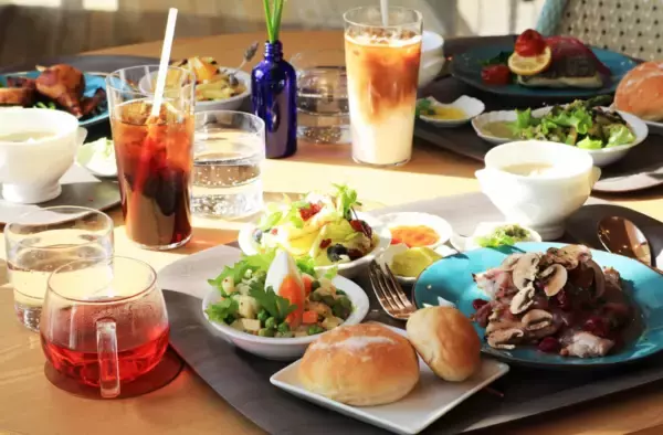 「おしんドローンスクール、神奈川・未病バレー　「BIOTOPIA」に新校を開校都心から約60分。自然の中で心身を整えながら、ドローン国家資格を取得」の画像