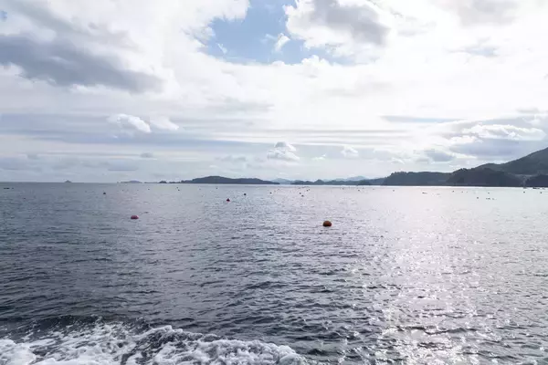 「生牡蠣 解禁！三陸産大ぶり牡蠣、かきフライで“大きさ・産地食べくらべ”冬季限定メニュー12月15日スタート【松島】」の画像