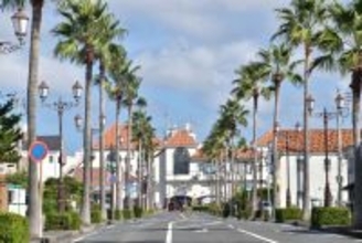 都心から80分の館山市で、人材育成と地域連携によるワーケーション受入環境づくりを推進　「BLUE TATEYAMA WORKATION」を牽引する3つの地域連携プロジェクト