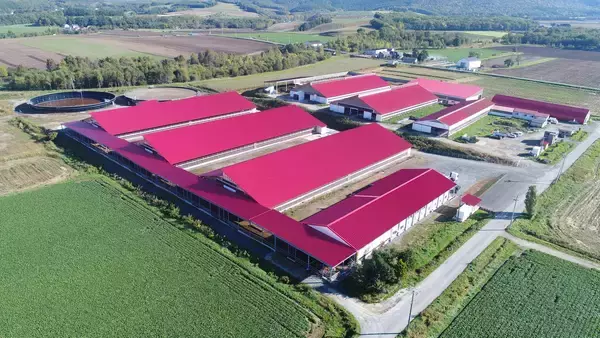 「藤井牧場、国内初・乳牛最大級となる家畜排せつ物管理によるJｰクレジット創出に成功」の画像