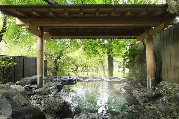 「【新プログラム開始】SNSアンバサダー募集｜2026年5月11日より　旅を発信する人・受け取る人どちらにも嬉しいプログラム」の画像