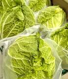 「道の駅常総オープン1000日記念イベントを1/21に開催！同時に縁起物「大寒卵」の期間限定イベントも同時開催」の画像3