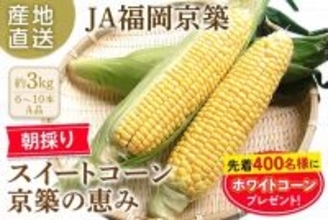 朝採り･当日発送で届ける、甘みあふれる初夏の味覚！福岡県産スイートコーン｢京築の恵み｣をＪＡタウンで予約販売開始！先着400名様にホワイトコーンのプレゼント企画も実施！