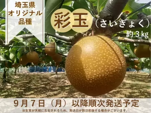 果汁あふれる埼玉県オリジナル梨「彩玉（さいぎょく）」を産地直送通販サイト「ＪＡタウン」で予約販売開始！