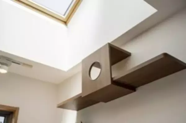 「クレバリーホーム　猫とともに暮らす新住宅プロジェクト始動― 犬向け住宅「inumo」に続く、“猫共生設計”の商品開発へ ―」の画像