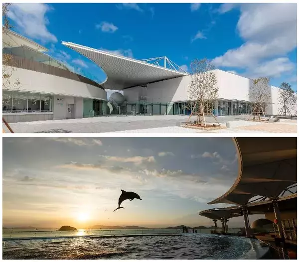 「【四国水族館×JRホテルクレメント徳島】初コラボレーションエイくんやチンアナゴが可愛いスイーツに！海の世界を楽しむアフタヌーンティーが徳島に登場！」の画像