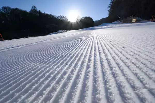 佐久スキーガーデン パラダ、大人シーズン券を2万円で販売開始　小学生未満向け「キンダー」券も新設、超早割は10月31日まで